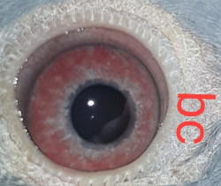 20220729_150747.jpg