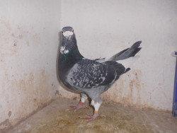 DSCI0883.JPG