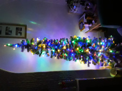 20221211_203003.jpg