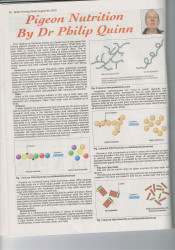 Vitamins1CCI03082018_00002.jpg