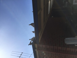 00453FF0-FE36-46AF-BC79-E9585CF3EC60.jpeg