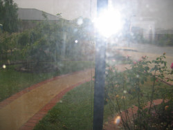 010.JPG