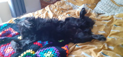 20230203_090614.jpg