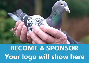 Become A Sponsor