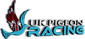Uk Pigeon Racing